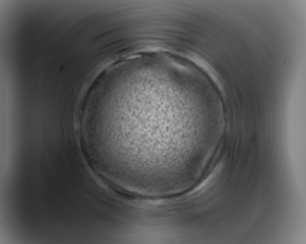 X0000088461385200706191321