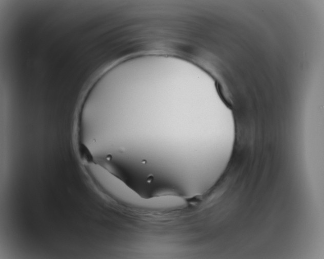 X0000088461387200706191321