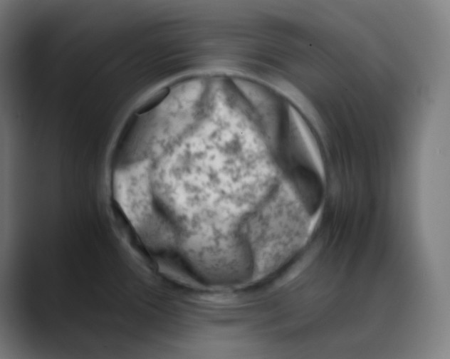 X0000088461388200706191321