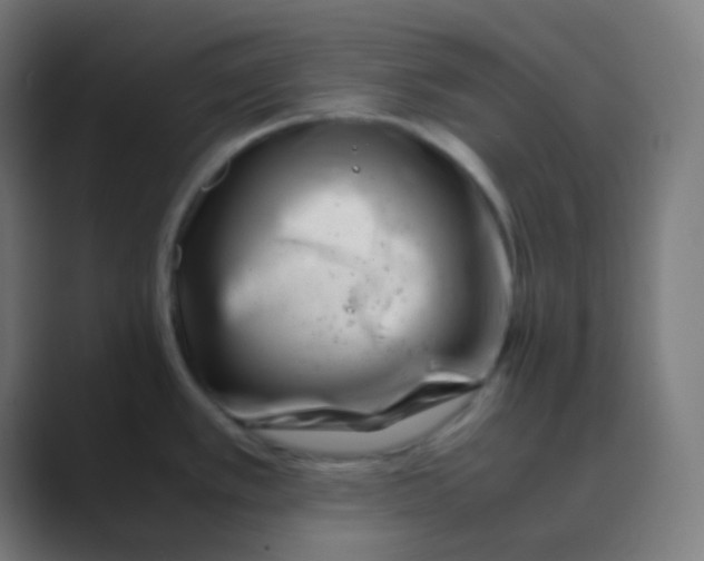 X0000088461389200706191321