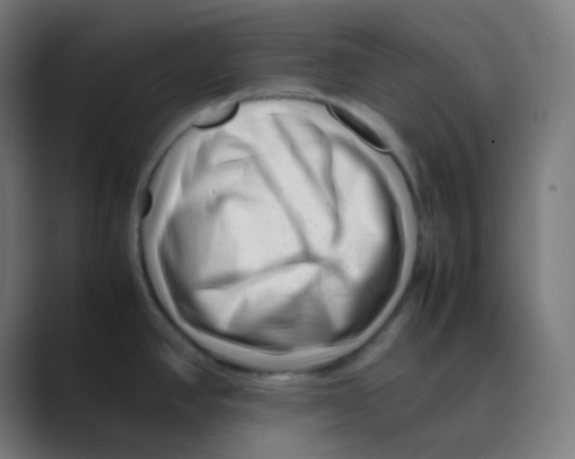 X0000088461390200706191321