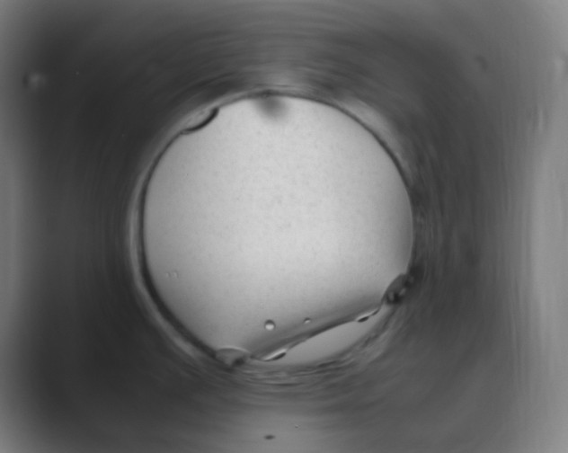 X0000088461391200706191321