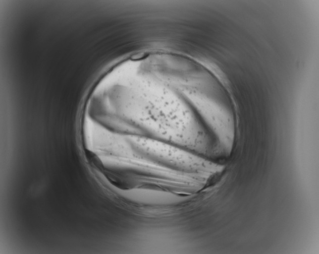 X0000088461392200706191321