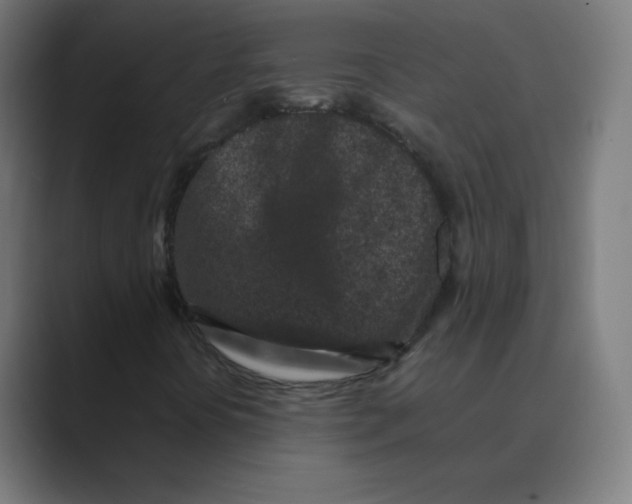 X0000088461394200706191321