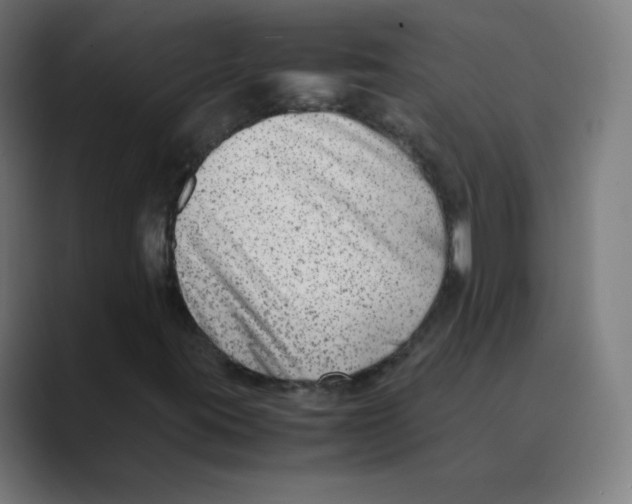 X0000088461395200706191321