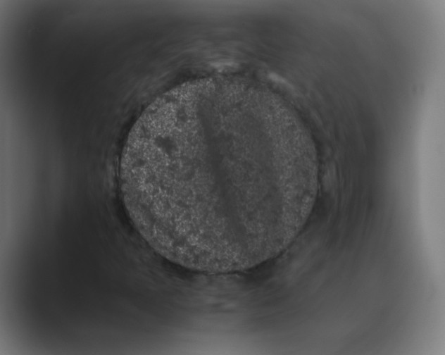 X0000088461397200706191321