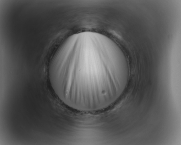 X0000088461398200706191321