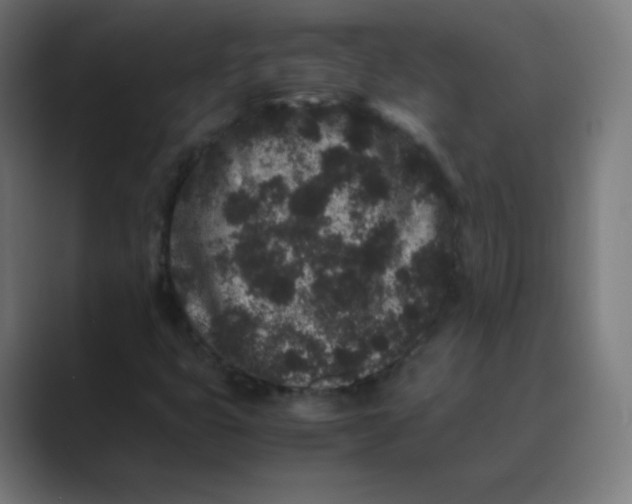 X0000088461399200706191321