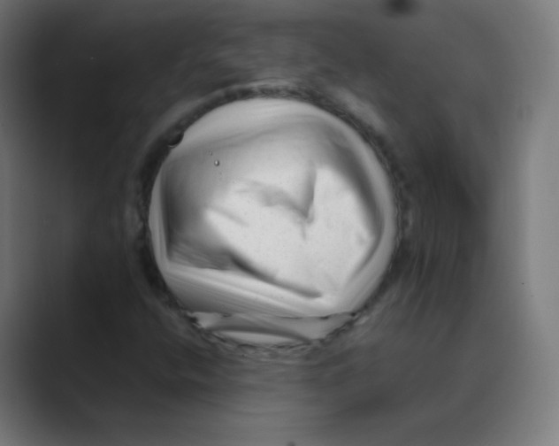 X0000088461400200706191321