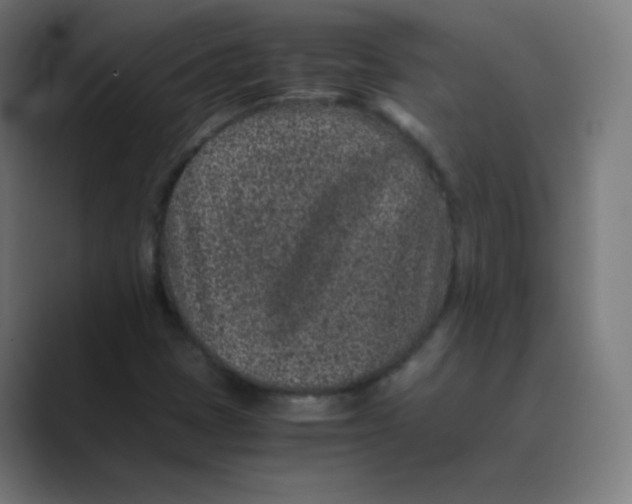 X0000088461401200706191321