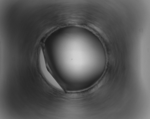 X0000088461402200706191321