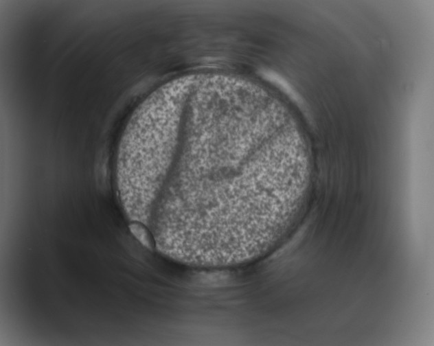 X0000088461403200706191321