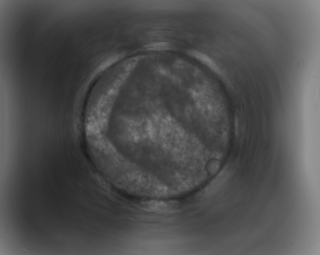 X0000088461405200706191321