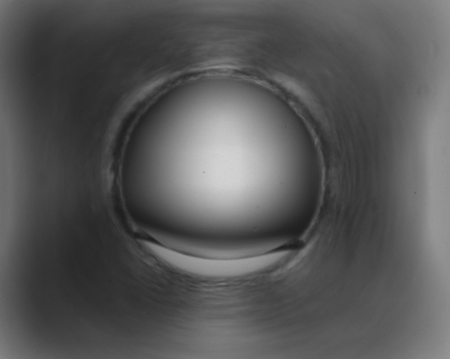 X0000088461406200706191321