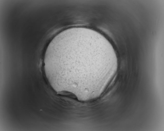 X0000088461407200706191321