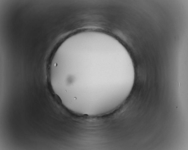 X0000088461408200706191321