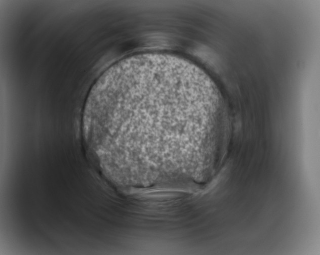 X0000088461409200706191321