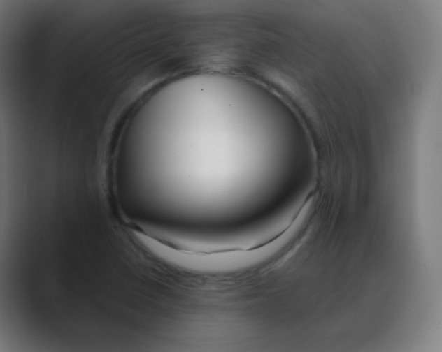 X0000088461410200706191321