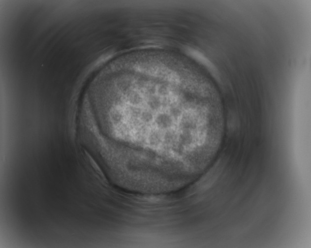 X0000088461411200706191321