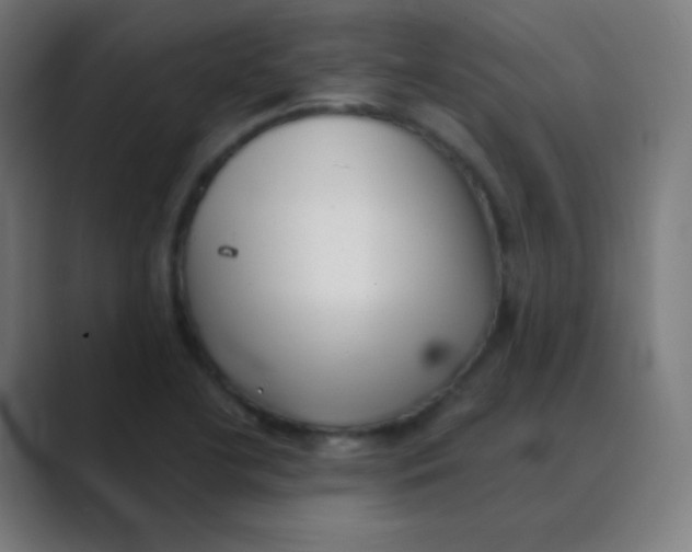 X0000088461412200706191321