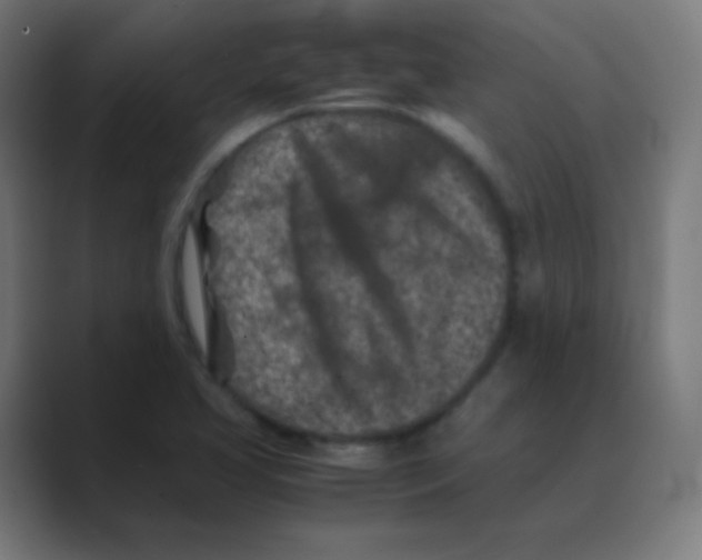 X0000088461413200706191321