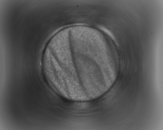 X0000088461415200706191321