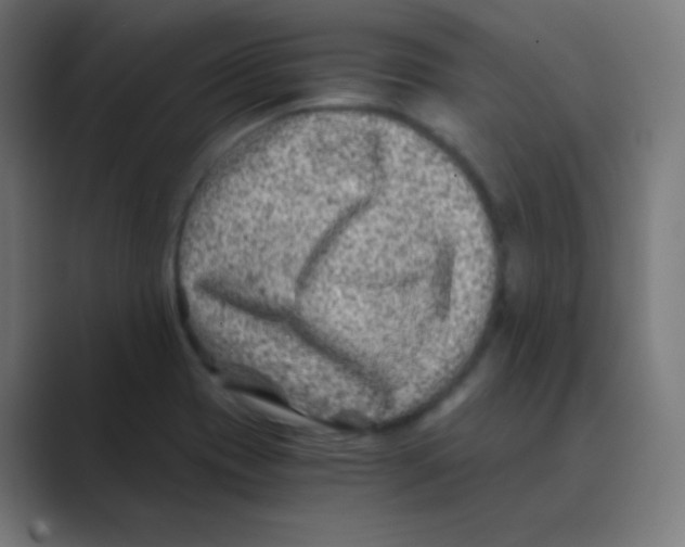 X0000088461417200706191321