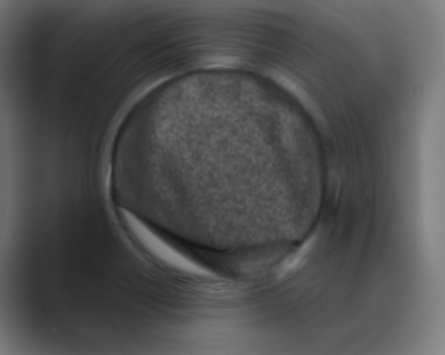 X0000088461418200706191321