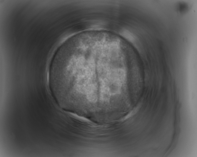 X0000088461419200706191321