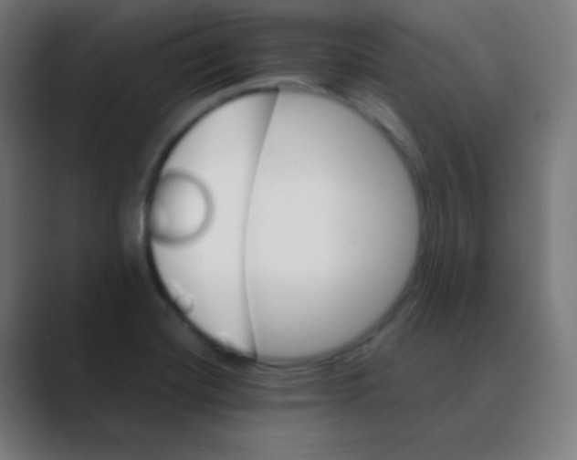 X0000088461420200706191321