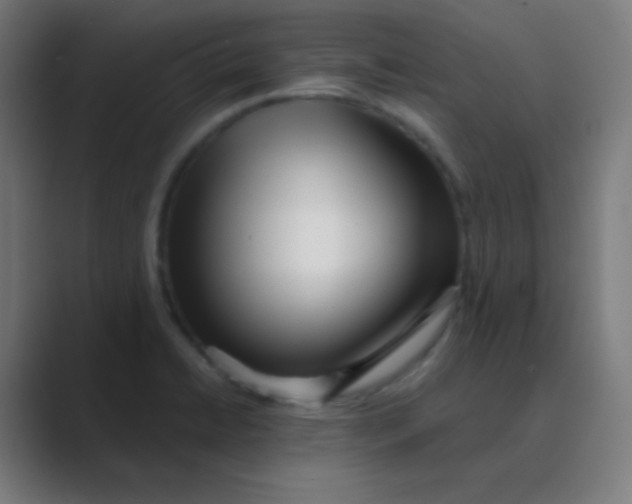 X0000088461422200706191321