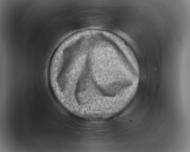 X0000088461423200706191321