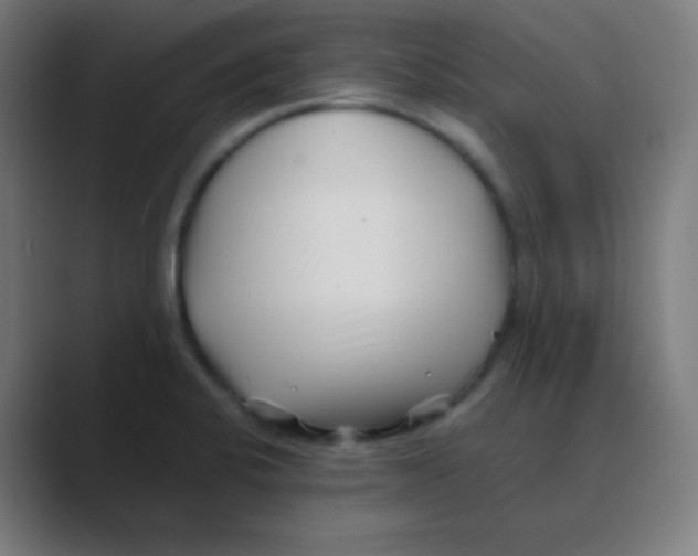 X0000088461424200706191321