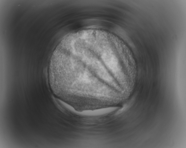 X0000088461425200706191321