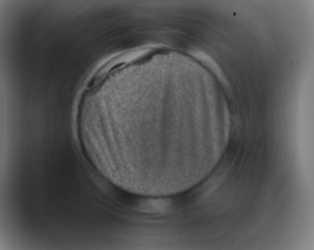 X0000088461427200706191321