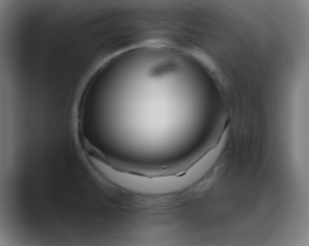 X0000088461430200706191321