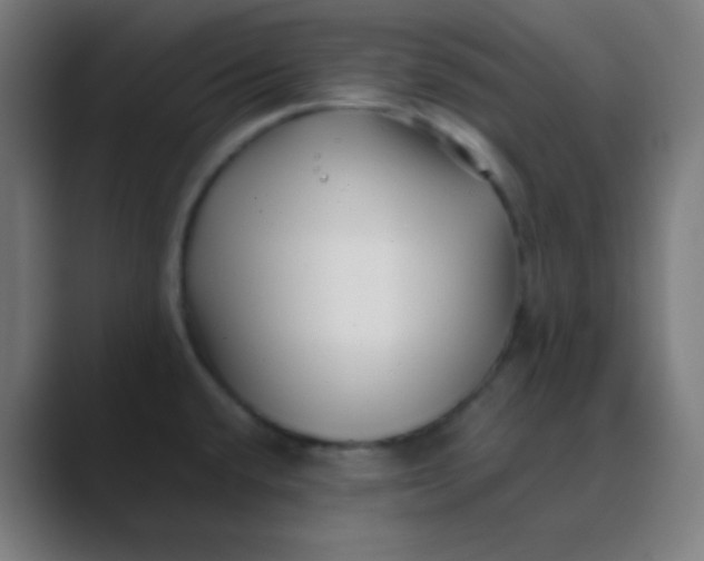 X0000088461432200706191321