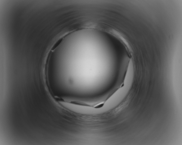 X0000088461434200706191321