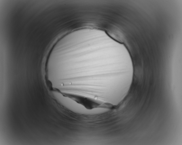 X0000088461435200706191321