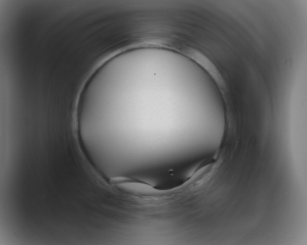 X0000088461436200706191321