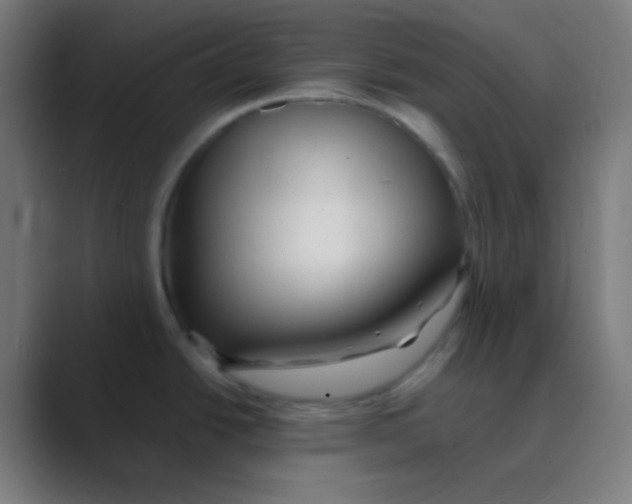 X0000088461438200706191321