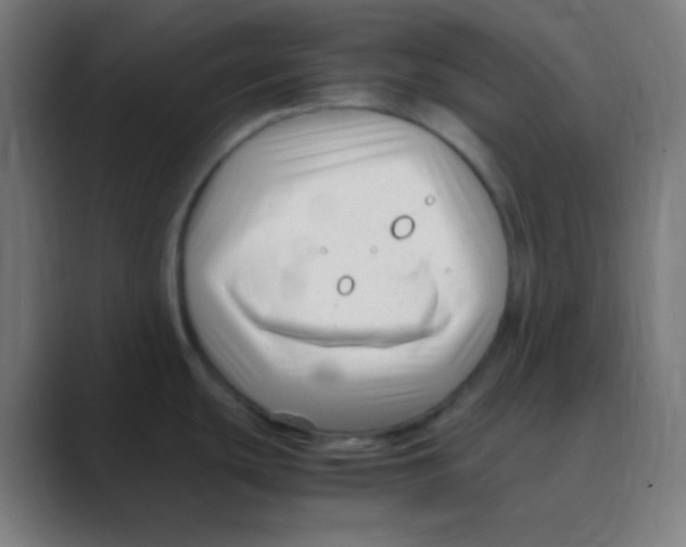 X0000088461439200706191321