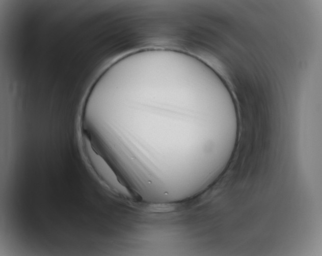 X0000088461440200706191321