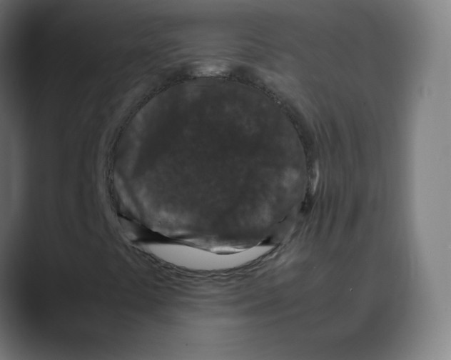 X0000088461441200706191320