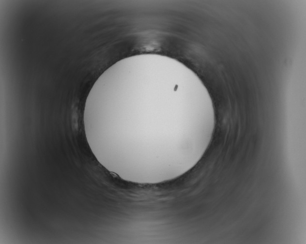 X0000088461442200706191320