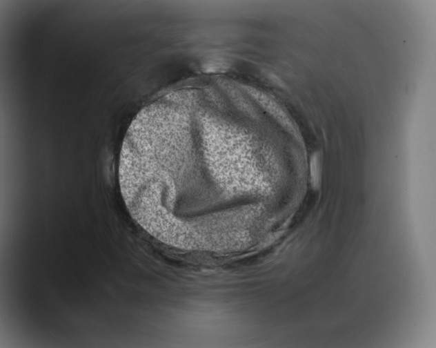 X0000088461443200706191320