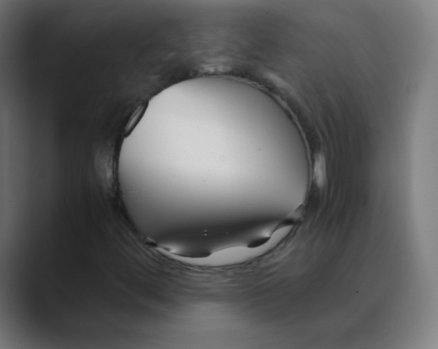 X0000088461444200706191320