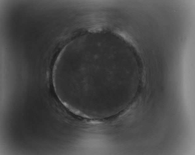 X0000088461445200706191320