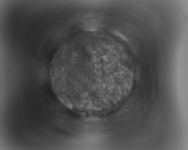 X0000088461446200706191320