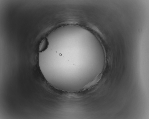 X0000088461448200706191320